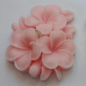 plumeria flower candles